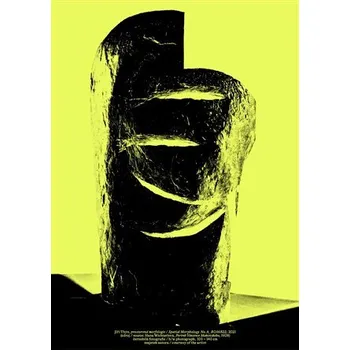 Populárně naučná literatura pro dospělé Mlčení, torzo, přítomnost