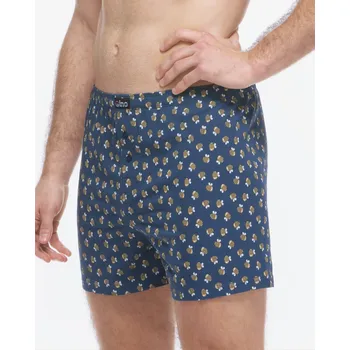 Trenýrky GINA 75219P Trenky volné Barva: Tm.popel-Cibulová, Velikost: M/L