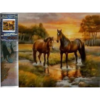 Diamantové malování Diamantové malování 30x40cm koně v potoce