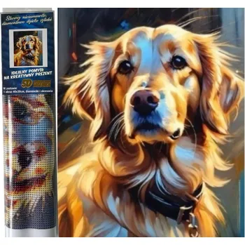 Diamantové malování Diamantové malování 30x40cm zlatý retrívr