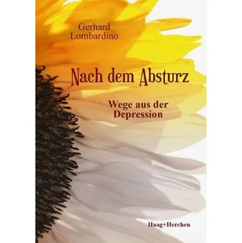 Nach dem Absturz - Lombardino, Gerhard