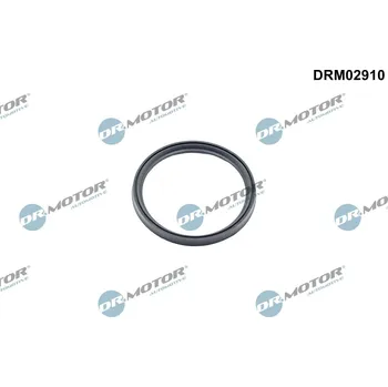 Těsnění motoru Těsnicí kroužek, hadice plnicího vzduchu Dr.Motor Automotive DRM02910