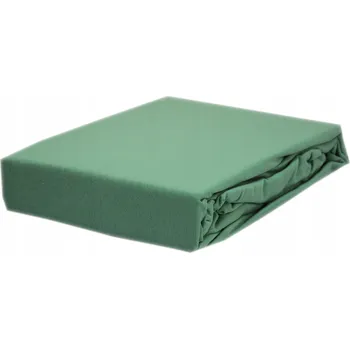 Prostěradlo Prostěradlo jersey s gumou 200x220 barva máta
