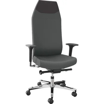 Pracovní židle Dauphin, pro provoz 24/7, šedá, opěrka hlavy