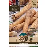 Florex Křen selský 1 ks