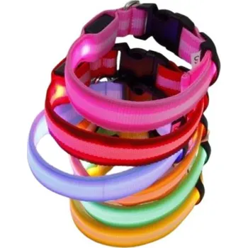 Obojek pro psa Reedog USB svíticí obojek pro psy a kočky NEW - Modrá - 40 - 48 cm