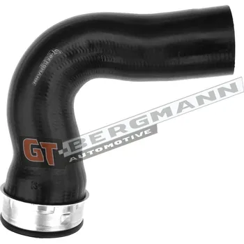 Turbodmychadlo Hadice plnícího vzduchu GT BERGMANN GT52-355