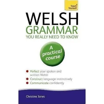 Anglický jazyk Welsh Grammar You Really Need to Know: Teach Yourself