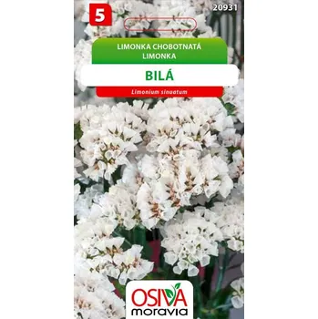 Semeno Osiva Moravia Limonka chobotnatá bílá 0,2 g
