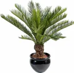 VertEspace Cycas 90 cm