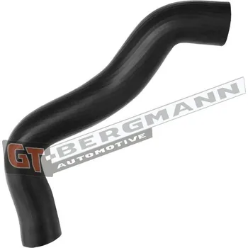 Hadička plnicího vzduchu GT-BERGMANN GT52-541