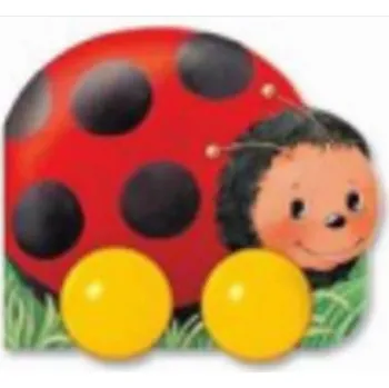 Německý jazyk Menschen A2/2: Interaktives Kursbuch DVD-ROM