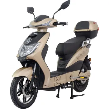 Elektromobilita Elektroskútr RACCEWAY® E-FICHTL®, sv.zlatý-matný, bez baterie MOTOE-NAB-PB-2 + ZDARMA Baterie Olověná-48V 20Ah, F + 7.500 Kč