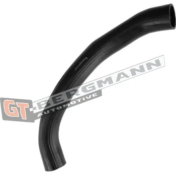 Hadička plnicího vzduchu GT-BERGMANN GT52-455