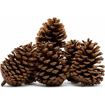 Velikonoční dekorace DECOLED Dřevěná dekorace borovicové šišky přírodní 8 × 12 cm, balení 6 ks