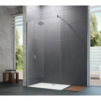 Sprchové dveře EBS Trend New Walk-In 100 cm, stříbrná