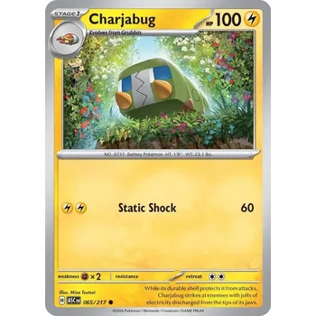 Společenská hra Pokémon ASC 065/217 Charjabug - Ascended Heroes Stav: Near Mint, Verze: NORMAL