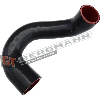 Hadička plnicího vzduchu GT-BERGMANN Automotive GT52-570