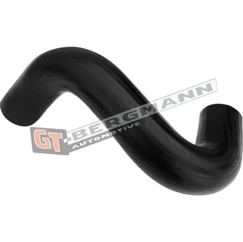 Hadička plnicího vzduchu GT-BERGMANN GT52-684