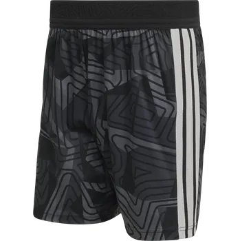 Šortky adidas Tiro 26 Authentic Goalkeeper kb6675 Velikost XXL