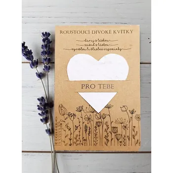 Přáníčko s rostoucím dárkem - PRO TEBE - 10x15 cm