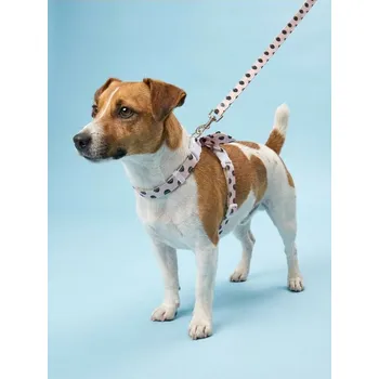 Postroj pro psa Sinsay - Postroj pro zvířata s puntíky a mašlí - pastelová růžová - 807IA-03X - 807IA-03X-ONE