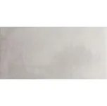 EBS Essen dlažba 45x90 ash 1,21 m²