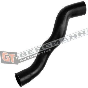 Hadička plnicího vzduchu GT-BERGMANN GT52-660