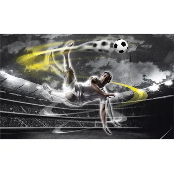 Fototapeta Fototapeta fotbal hřiště fototapety 254 x 184