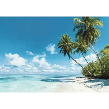 Fototapeta FOTOTAPETA PLÁŽ MOŘE PALMY KRAJINA NA ZEĎ LOŽNICE OBÝVACÍ POKOJ 250x175