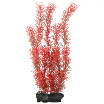 Akvarijní technika Rostlina Tetra Foxtail Red L 30cm