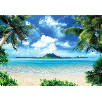 Fototapeta Fototapeta pláž výhled nebe RELAX palmy moře ZÁPAD SLUNCE 416 x 254