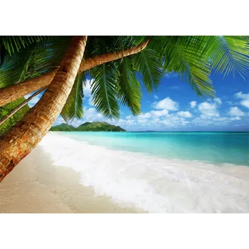 Fototapeta FOTOTAPETA PLÁŽ MOŘE PALMY DO LOŽNICE OBÝVÁKU TAPETA NA ZEĎ 250x175