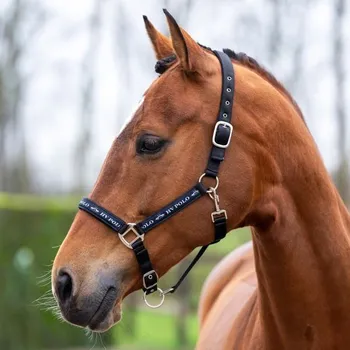 Stájová ohlávka HV POLO Nena, Cob - Tmavě hnědá