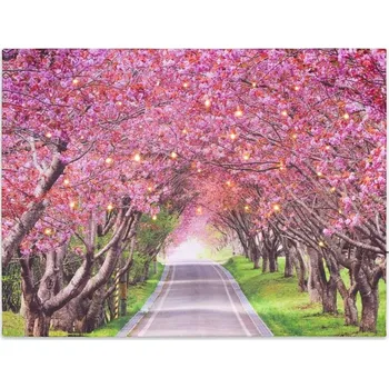 Obraz Nexos Trading D74517 LED obraz 30 x 40 cm rozkvetlá alej stromů