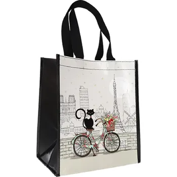 Školní batoh Taška SCPR29C02 BUG ART KIUB