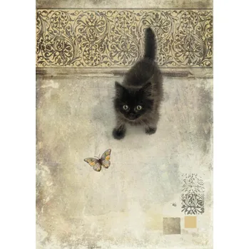 Přání D147 BUG ART**