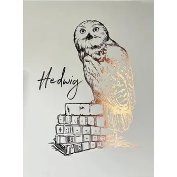 Plakát Harry Potter Plakát - Hedvika