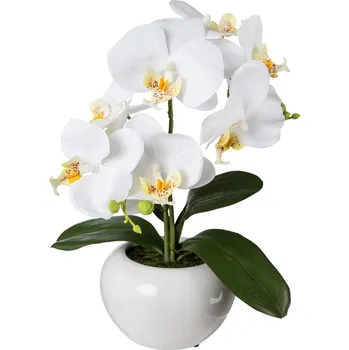 umělá květina Gasper Umělá orchidej v keramickém květináči, 35 cm, bílá 490593