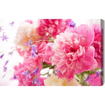 Obraz Obraz Na Plátně Růžové Pivoňky 40x30
