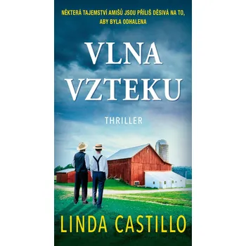 Vlna vzteku - Linda Castillo (2026, pevná)