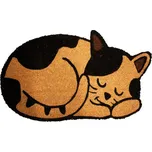 Home Elements Kokosová venkovní rohožka…