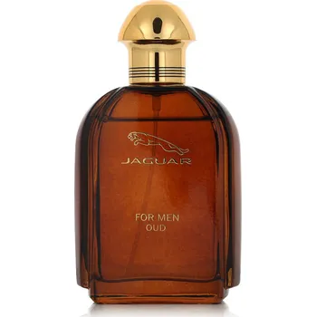 Pánský parfém Jaguar For Men Oud EDP 100 ml M