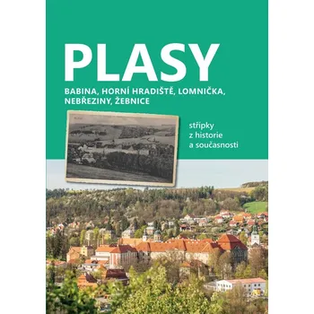 Populárně naučná literatura pro dospělé Plasy - Starý most (2025)
