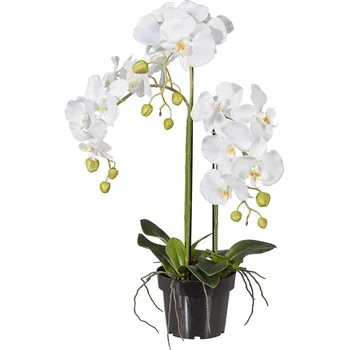 umělá květina Gasper Umělá orchidej v plastovém květináči, 62 cm, bílá 490617