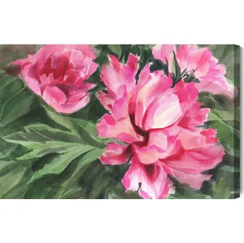 Obraz Obraz Na Plátně Pivoňky v listech 40x30