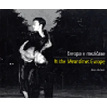 Umění Evropa v mezičase / In the Meantime: Europe