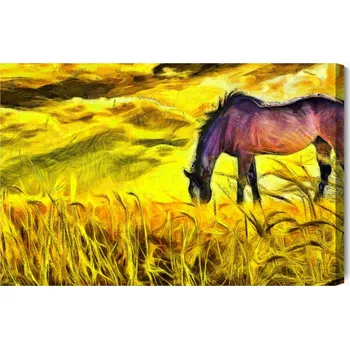 Obraz Obraz Na Plátně Malovaný Kůň Na Poli 30x20