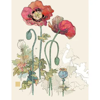 Přání B015 BUG ART**