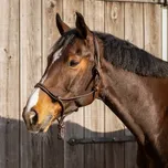 Provazová ohlávka kožená QHP Liberta